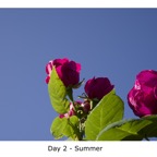 Day 2 - Summer copy.jpg